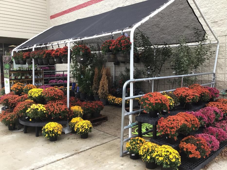 Images Tractor Supply Co.