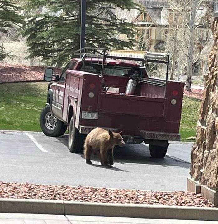 Images Masterworks Mechanical