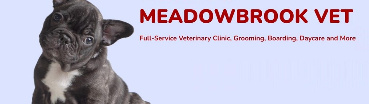 Images Meadowbrook Veterinary Clinic - North