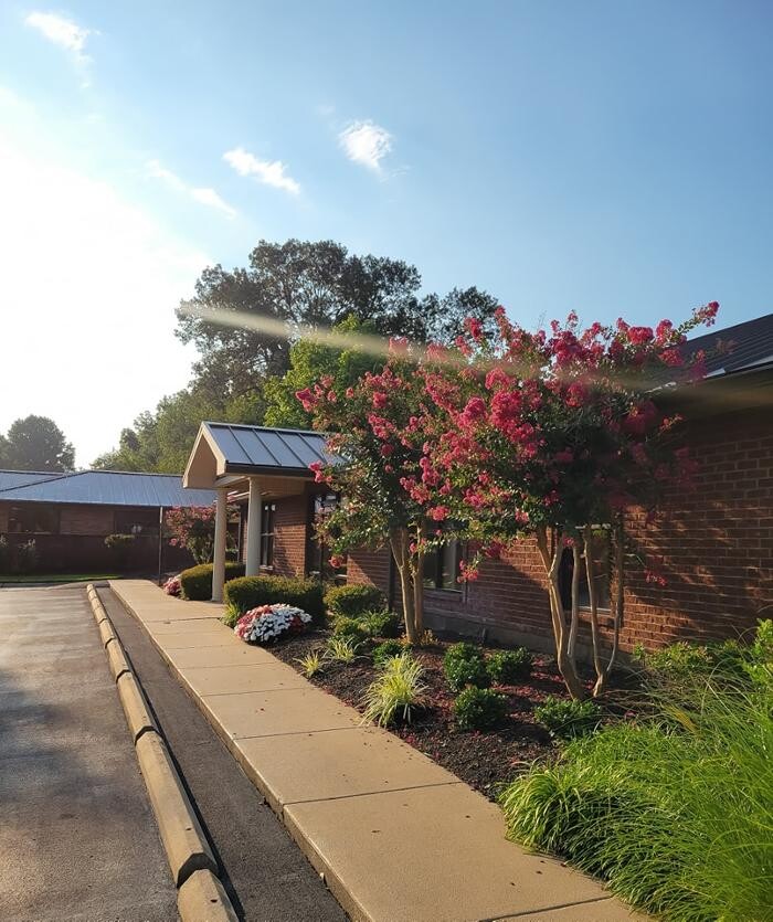 Images Kimberly Dryden Pitts DDS, PC