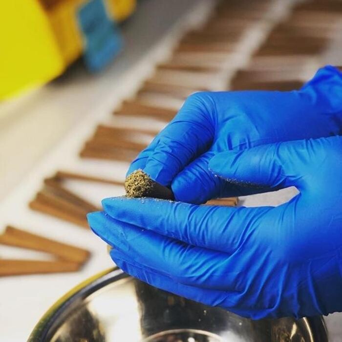 Images JARS Cannabis North Phoenix
