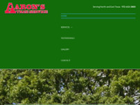 Screenshot for https://www.aaronstreeservice.net/