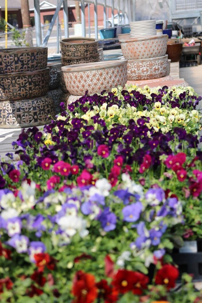 Images Breshear's Nursery & Greenhouse