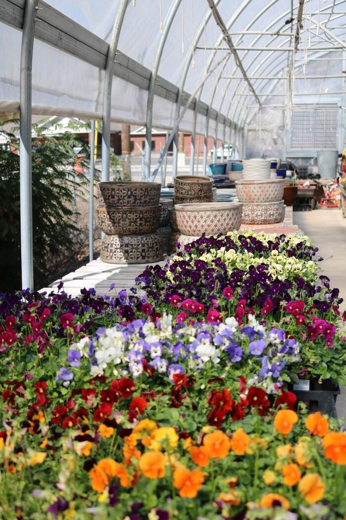Images Breshear's Nursery & Greenhouse