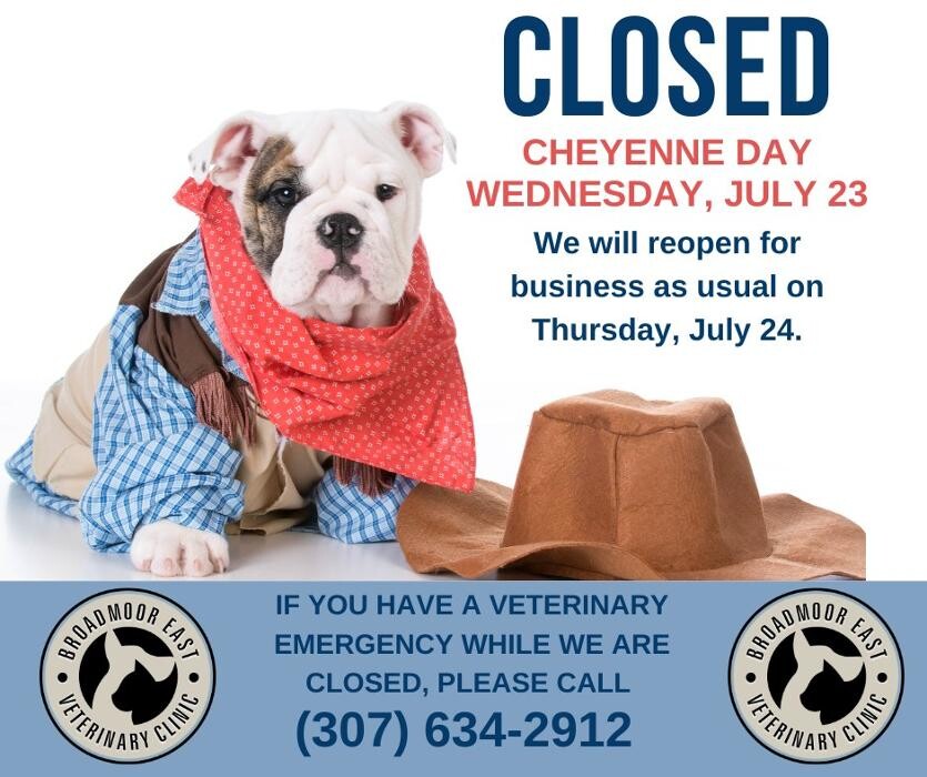 Images Broadmoor East Veterinary Clinic