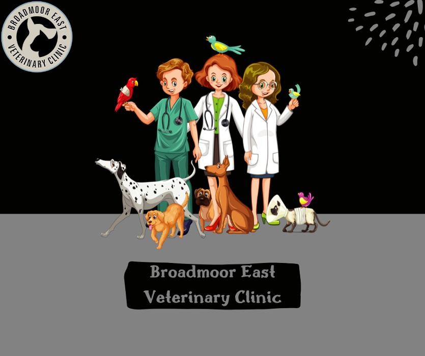 Images Broadmoor East Veterinary Clinic