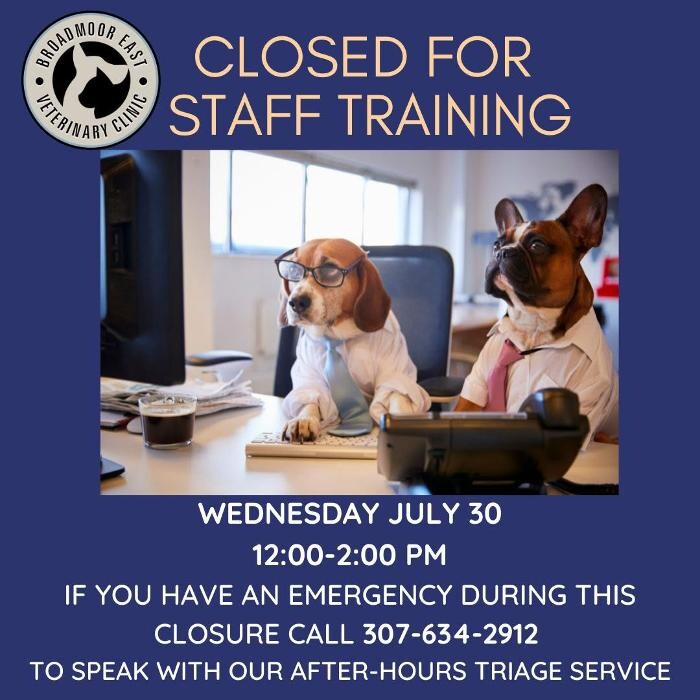 Images Broadmoor East Veterinary Clinic