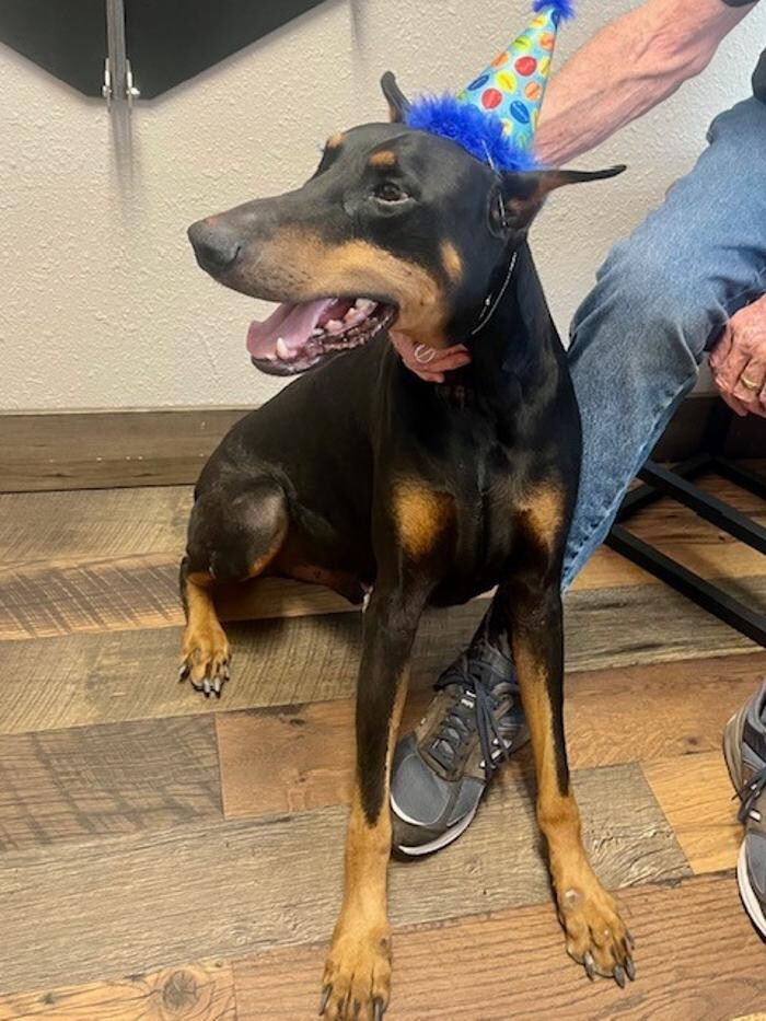 Images Broadmoor East Veterinary Clinic