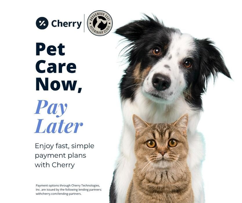 Images Broadmoor East Veterinary Clinic