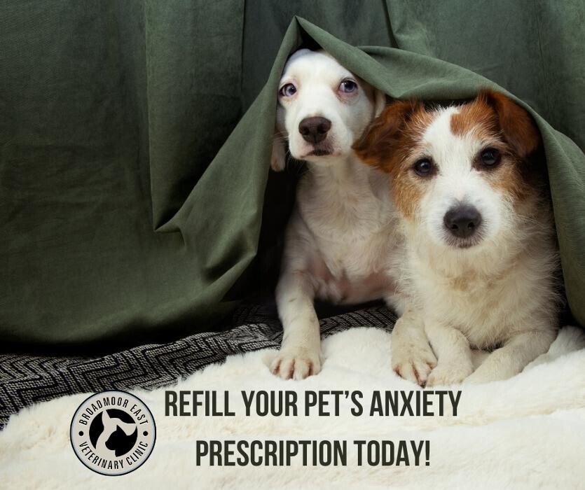 Images Broadmoor East Veterinary Clinic