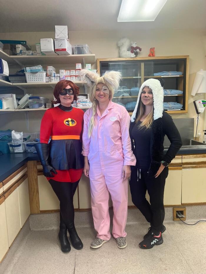 Images Broadmoor East Veterinary Clinic