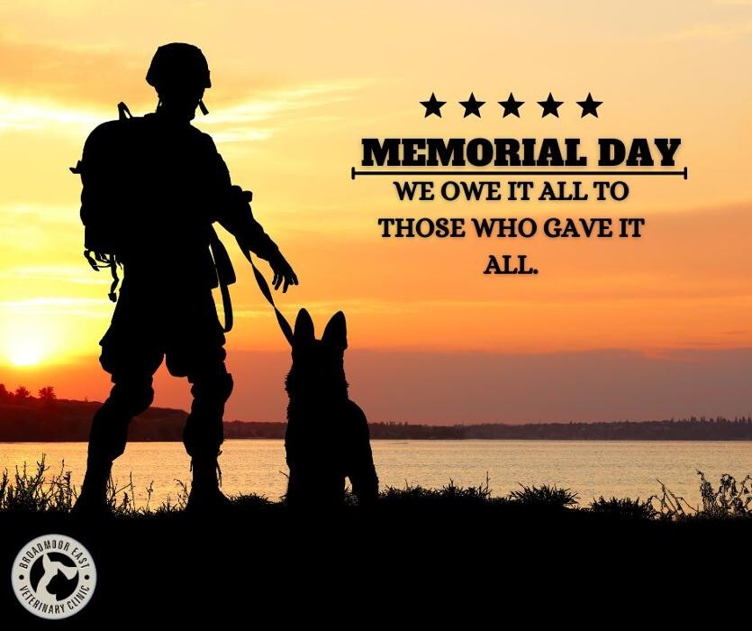 Images Broadmoor East Veterinary Clinic