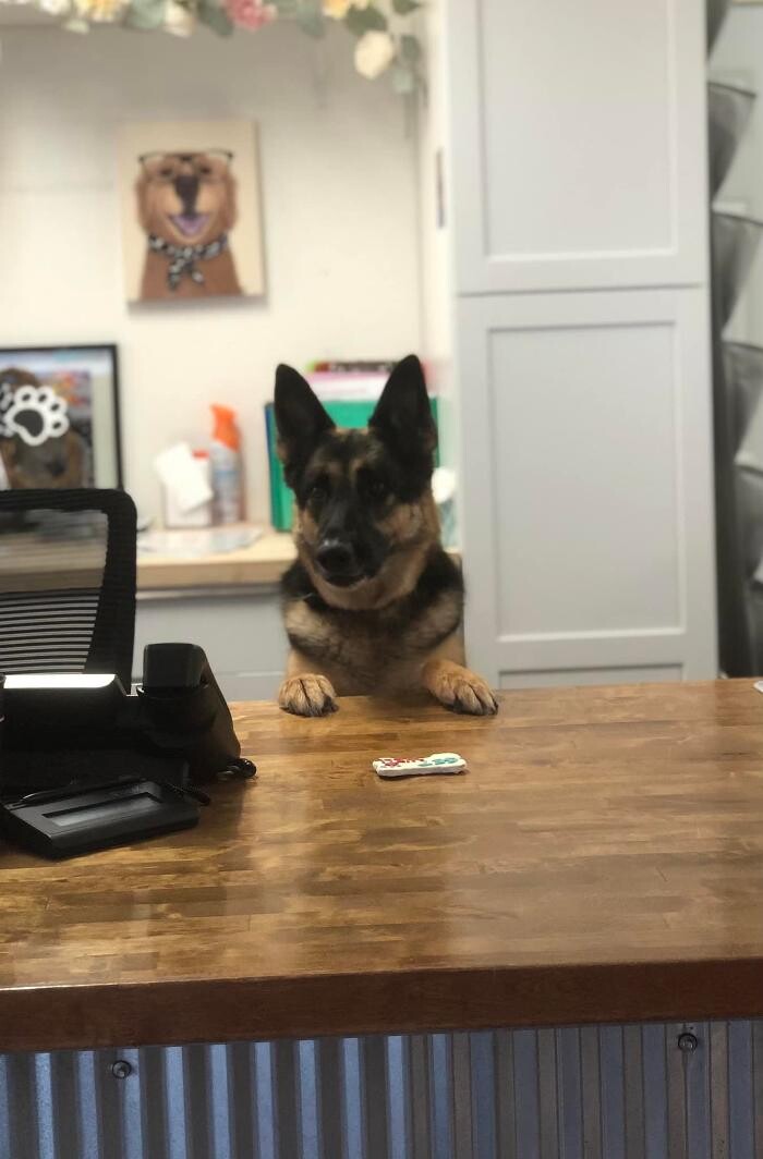 Images Broadmoor East Veterinary Clinic