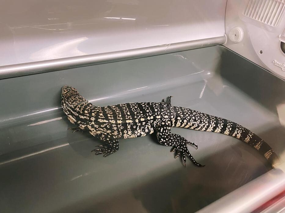 Images Broadmoor East Veterinary Clinic