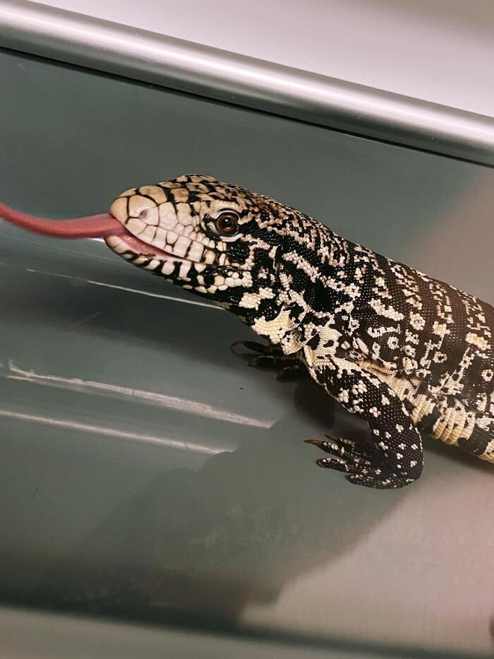 Images Broadmoor East Veterinary Clinic