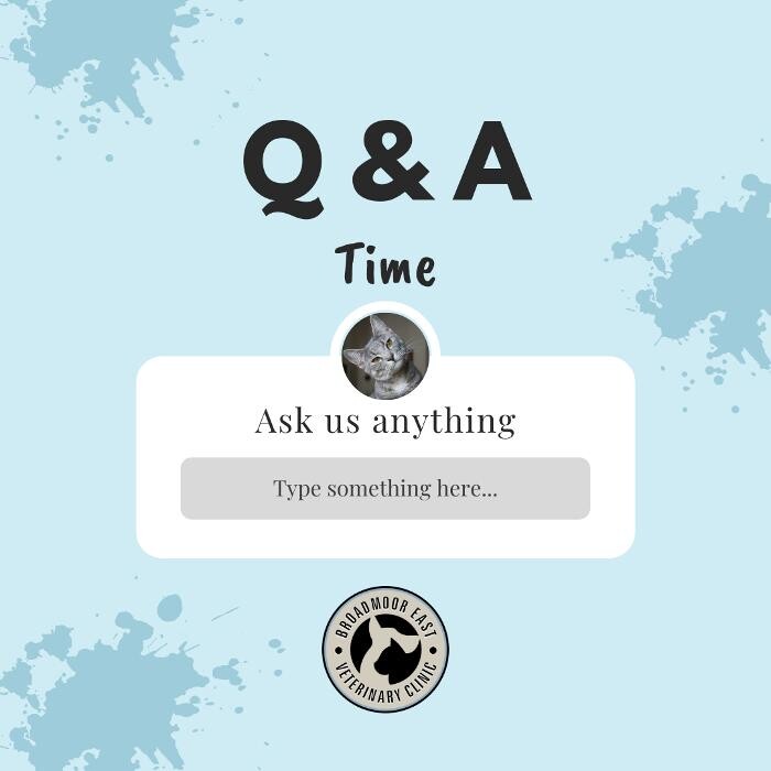 Images Broadmoor East Veterinary Clinic