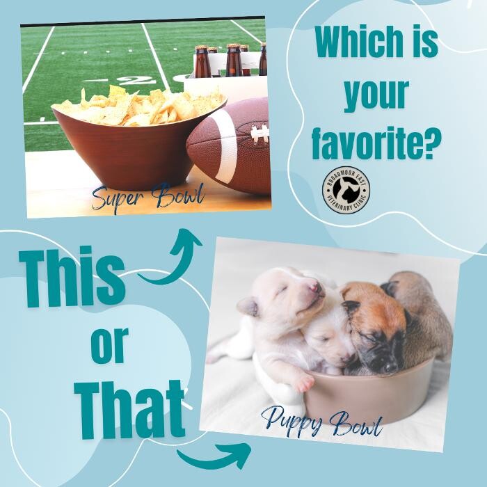 Images Broadmoor East Veterinary Clinic