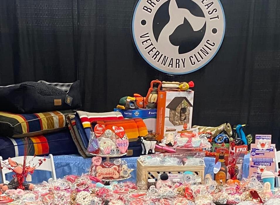 Images Broadmoor East Veterinary Clinic