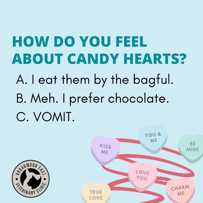 Images Broadmoor East Veterinary Clinic