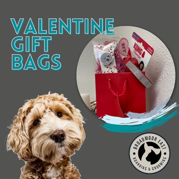 Images Broadmoor East Veterinary Clinic