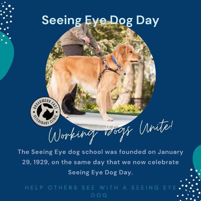 Images Broadmoor East Veterinary Clinic