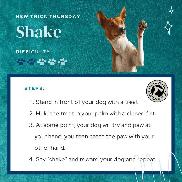 Images Broadmoor East Veterinary Clinic