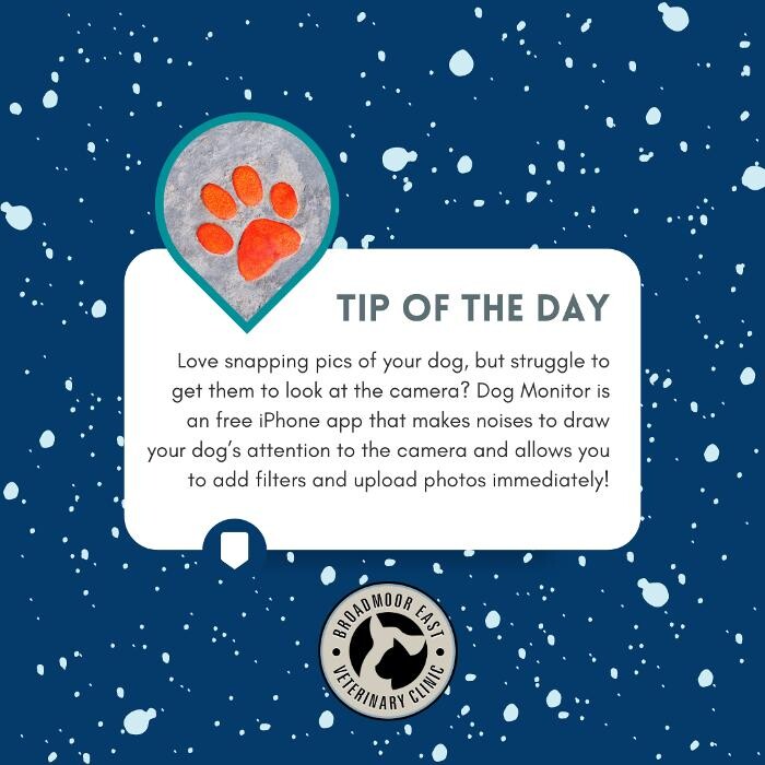 Images Broadmoor East Veterinary Clinic