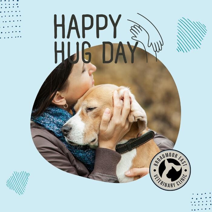 Images Broadmoor East Veterinary Clinic