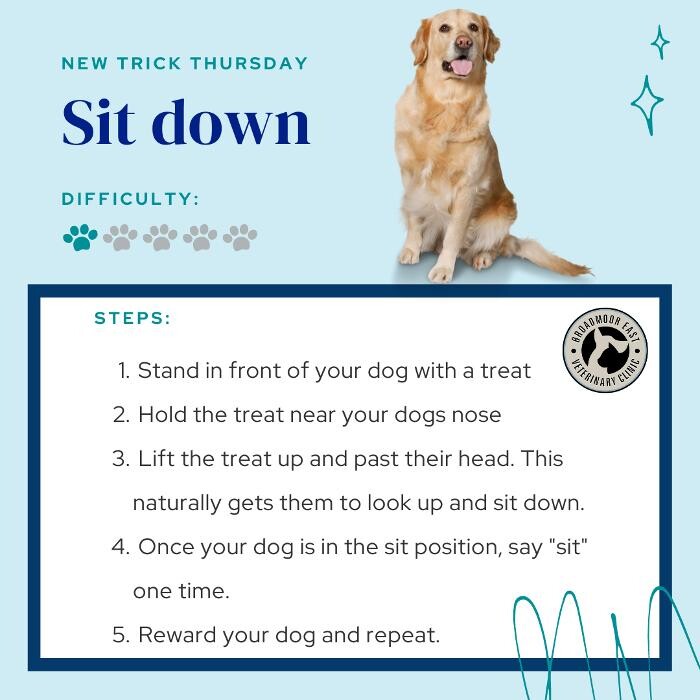 Images Broadmoor East Veterinary Clinic