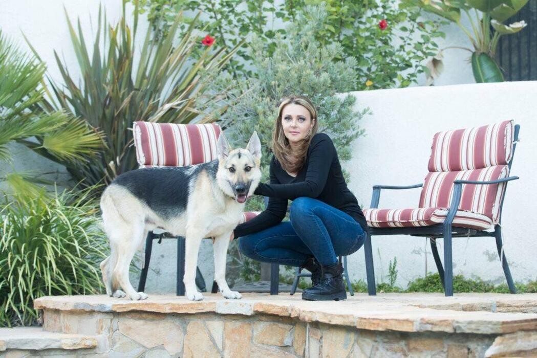 Images Broadmoor East Veterinary Clinic