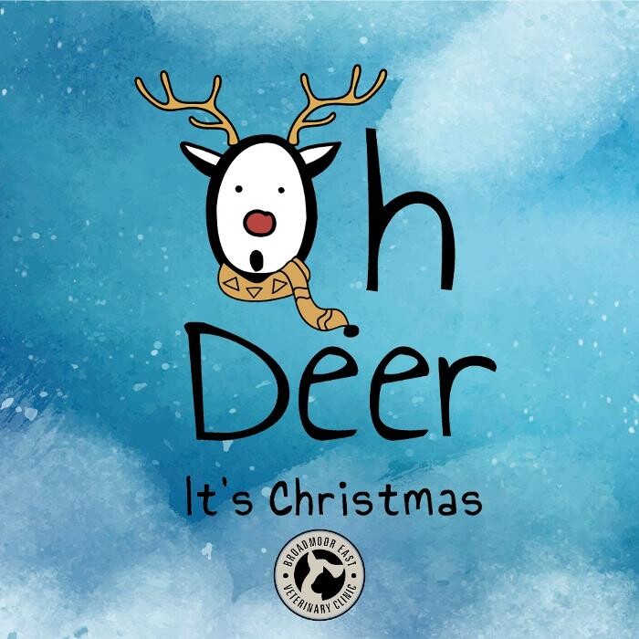 Images Broadmoor East Veterinary Clinic