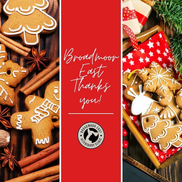 Images Broadmoor East Veterinary Clinic