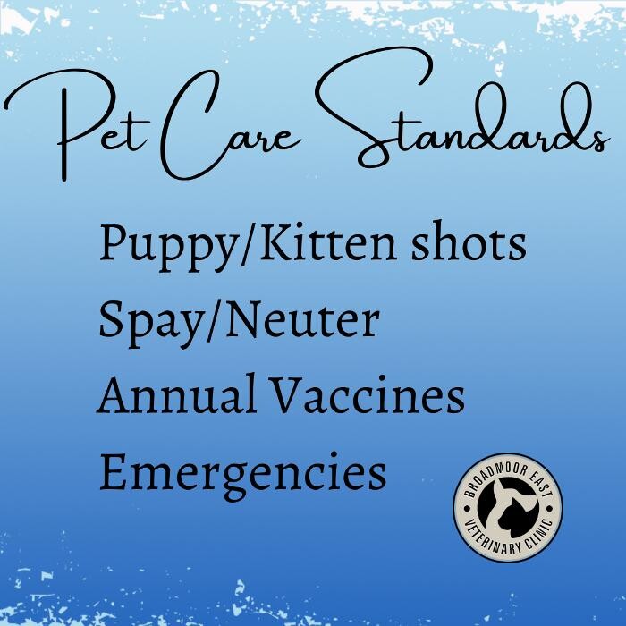 Images Broadmoor East Veterinary Clinic