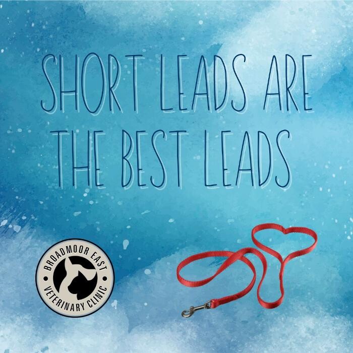 Images Broadmoor East Veterinary Clinic