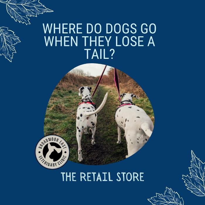 Images Broadmoor East Veterinary Clinic