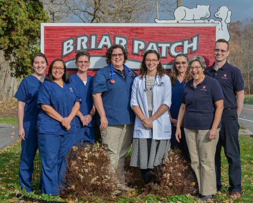 Images Briar Patch Veterinary Hospital