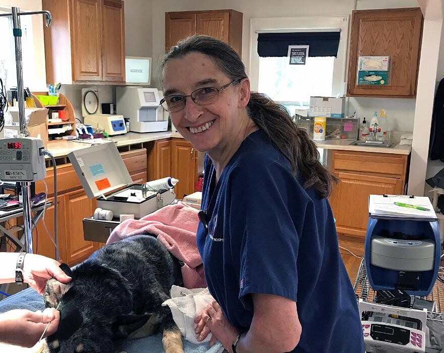 Images Briar Patch Veterinary Hospital
