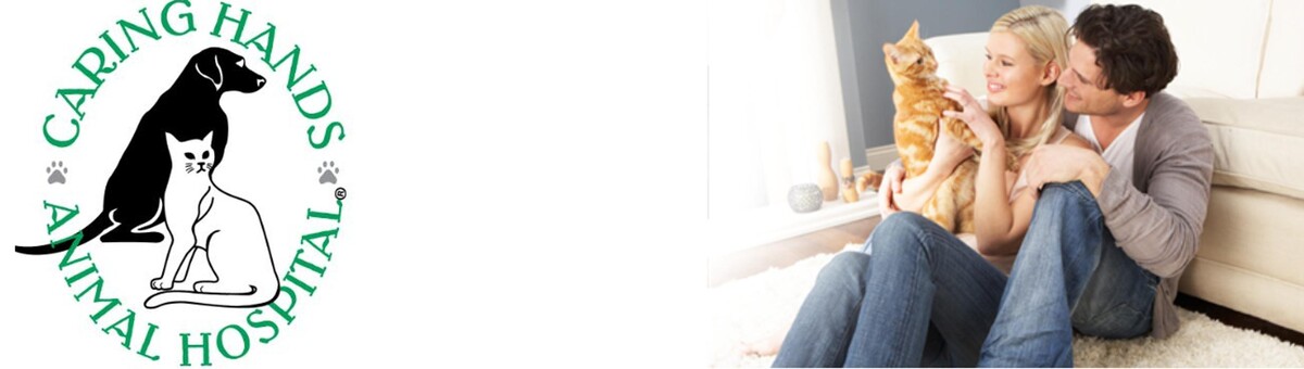 Images Corrine Drive Animal Hospital