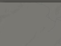 Website Screenshot Burger King