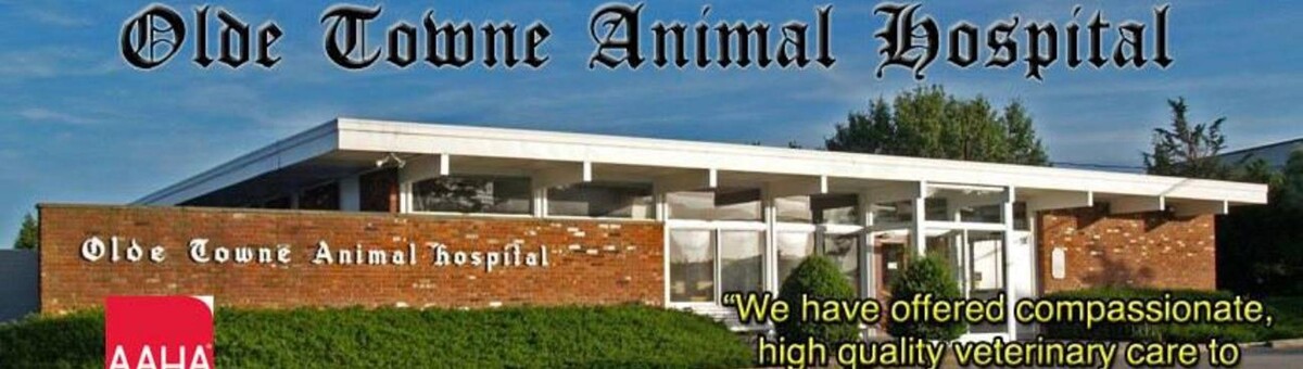 Images Olde Towne Animal Hospital