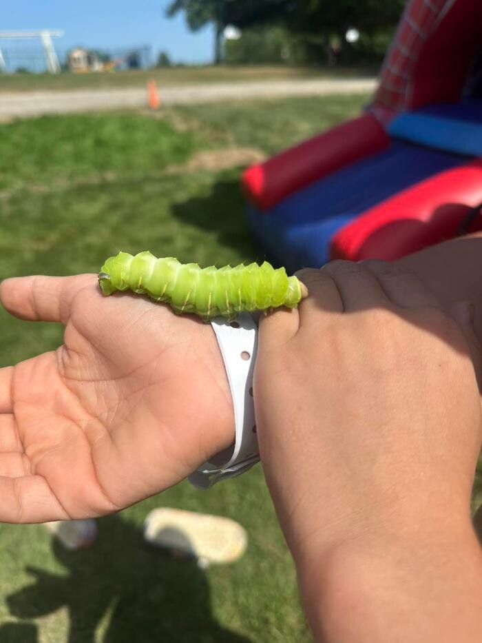 Images Woodside Lake Park