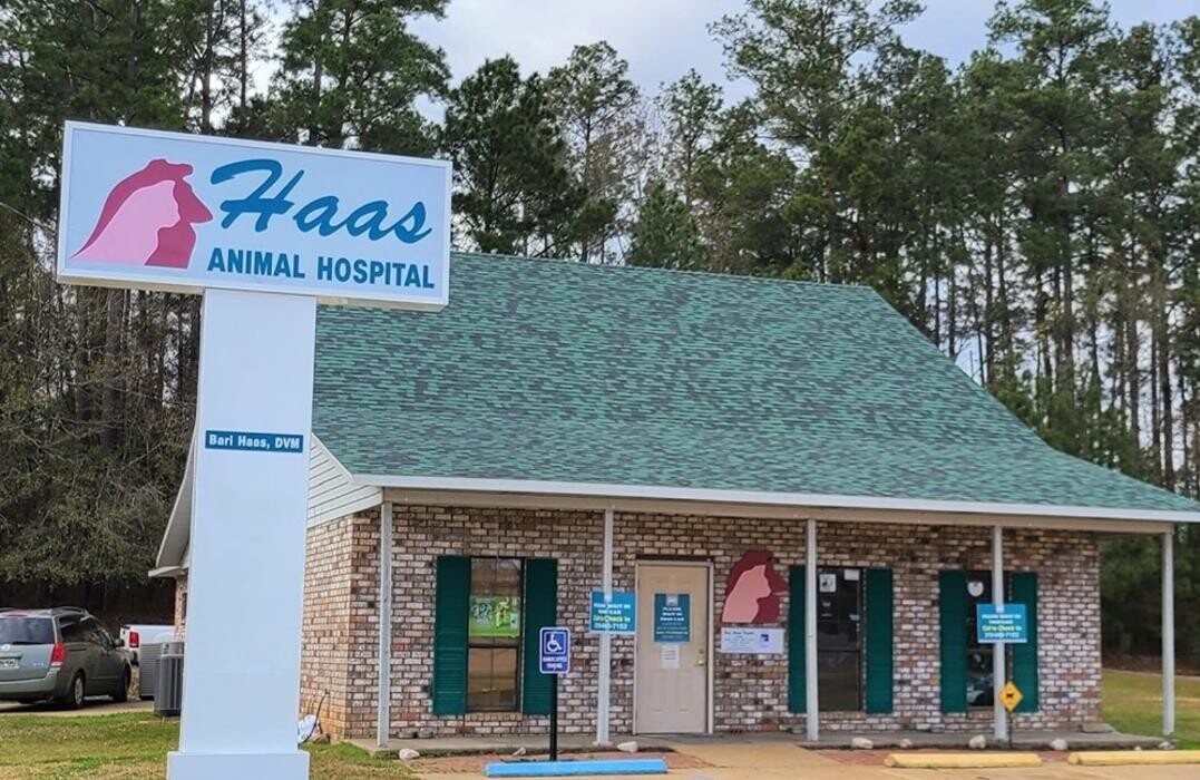 Images Haas Animal Hospital