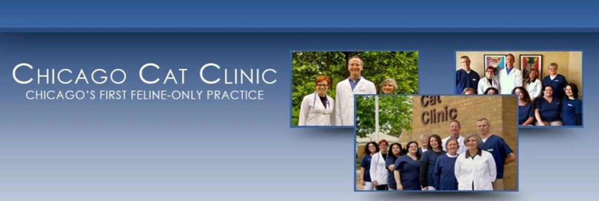 Images Chicago Cat Clinic