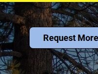 Website Screenshot Mountain Meadows