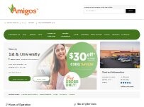 Website Screenshot Amigos