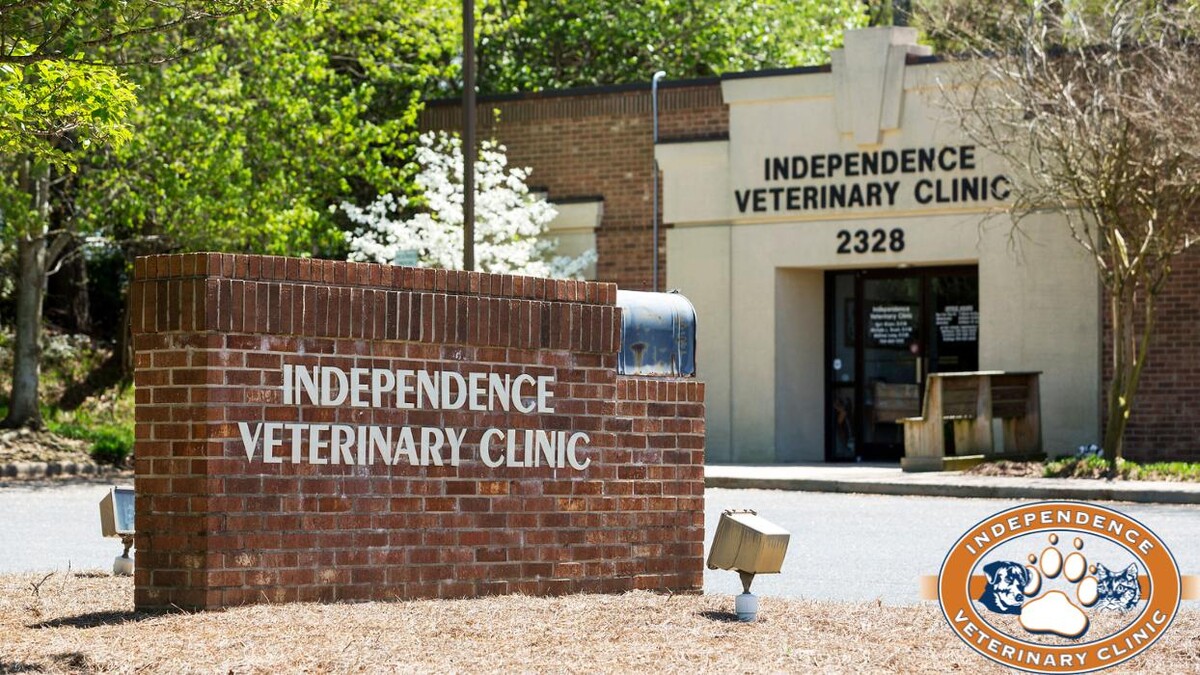 Images Independence Veterinary Clinic