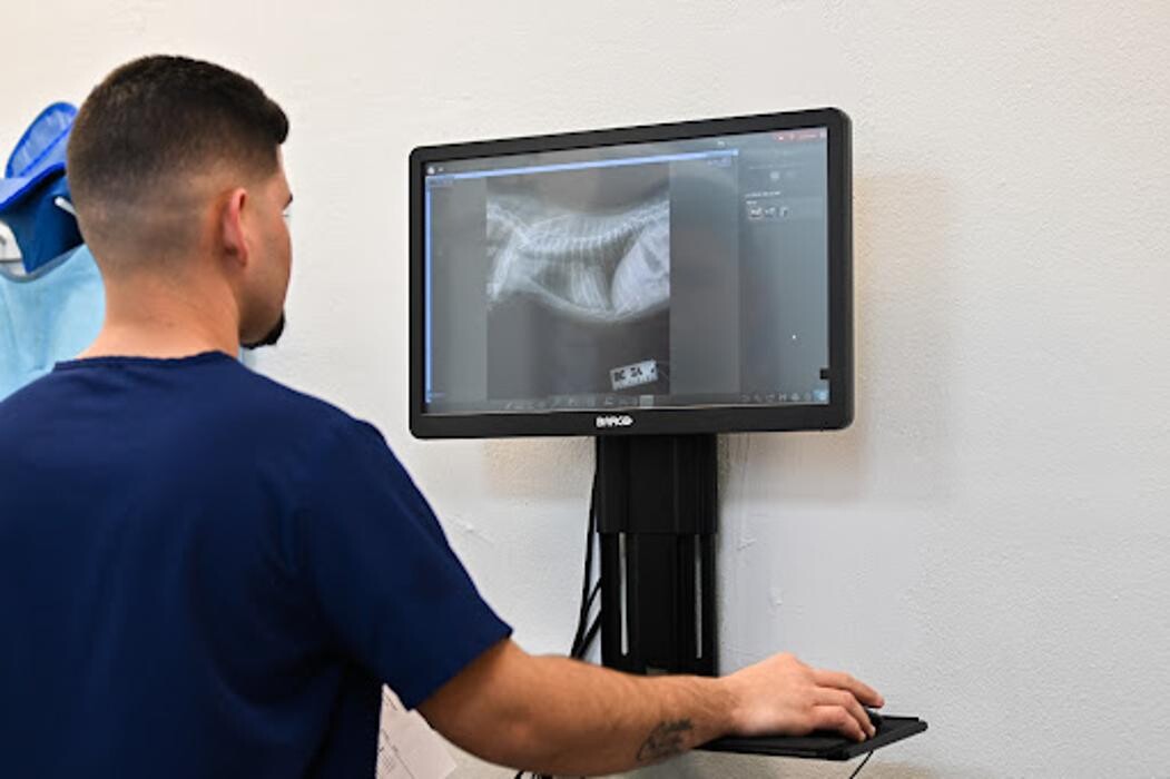 Images Benitez Animal Hospital