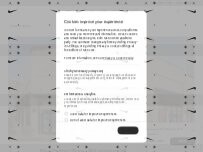 Website Screenshot Nike Factory Store - Williamsburg  VA