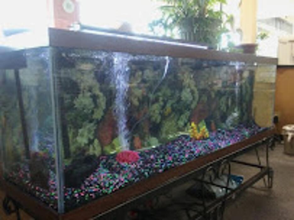 Images Big Bobs Flooring Outlet