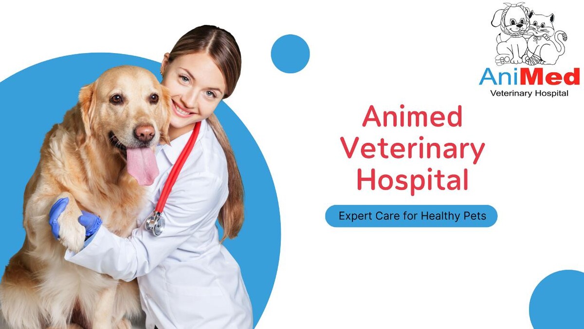 Images Animed Veterinary Hospital